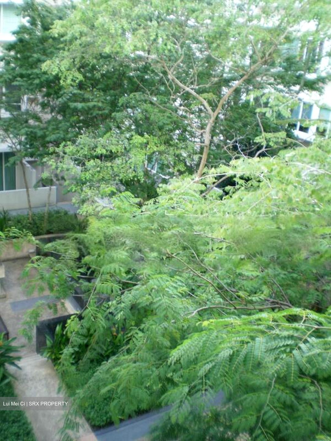 Le Reve (D14), Condominium #460662701